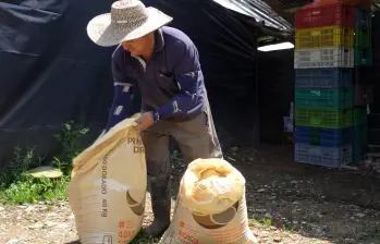 Uno de los campesinos de uno de los corregimientos de Medellín. FOTO: Cortesía.