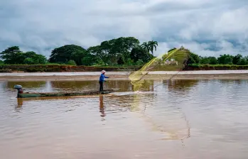 Con una inversión social y ambiental de más de 2,6 billones de pesos, Hidroituango ha impulsado proyectos que transforman la vida de más de 6.000 familias en 16 municipios. Fotos: cortesía EPM.