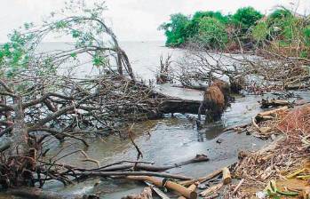 La erosión en la parte costera de Urabá afecta por igual construcciones y cultivos. FOTO: JUAN ANTONIO SÁNCHEZ