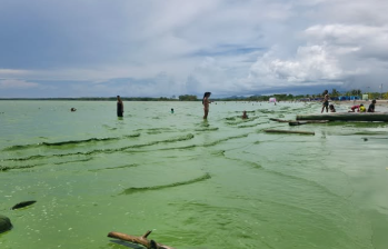 El mar de Turbo, en el golfo de Urabá, amaneció este fin de semana con un color verde que sorprendió a habitantes y turistas. FOTO: Cortesía Facebook Puerto Stereo