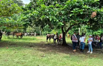 A las doce familias ya les permitieron el ingreso a su finca y han comenzado a hacer sus sembrados. FOTO: CORTESÍA FORJANDO FUTUROS