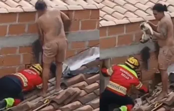 Gato fue rescatado por bomberos tras quedar atrapado entre dos paredes en Bello. FOTO: captura de video. 
