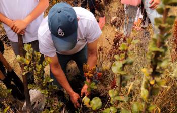 El Festival Internacional de Cine ‘El Cine Suma Paz’, promueve el cuidado del agua y el cuidado de los páramos. Foto cortesía Colprensa/Festival Internacional de Cine de Sumapaz.