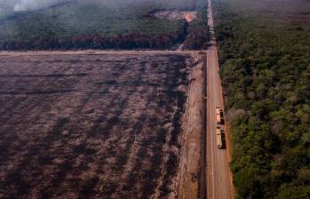 La agencia estadounidense Usaid, que congeló sus recursos al exterior por orden de Donald Trump, apoyaba desde hace años a proyectos en la Amazonía de Colombia. FOTO: GETTY