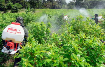 El inicio de las operaciones de aspersión terrestre con glifosato está programado para este mes en Argelia, Cauca. FOTO: AFP