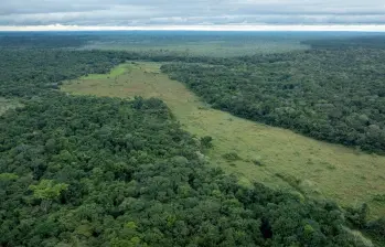 El documento establece siete principios orientadores para la formulación de políticas públicas en esa región. FOTO cortesía Sebastian Di Domenico