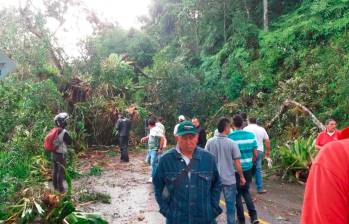 Así quedó la vía Santa Fe de Antioquia-Cañasgordas por cuenta de la caída de un árbol en el municipio de Giraldo. FOTO: CORTESÍA
