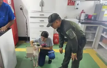 Ataque a perro en Barranquilla. Foto: Policía