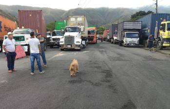 Empresarios y sectores productivos advirtieron que las afectaciones en el corredor hacia Buenaventura impactan las exportaciones, el transporte de mercancías y el abastecimiento de productos. FOTO: Fedetranscarga.