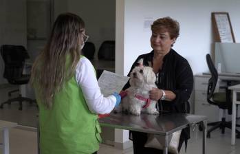 Estos permisos buscan garantizar la salud de las mascotas y de las personas, y evitar la dispersión de enfermedades que sean una amenaza para la salud pública. FOTO: Cortesía.