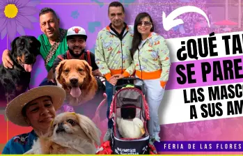 Amos y mascotas, un parecido que no se puede negar