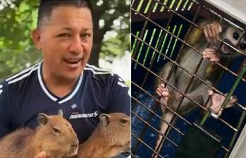 Jesse Adonai Daza exhibía animales en redes mientras difundía mensajes ambientales. FOTO: Redes sociales / Fiscalía.