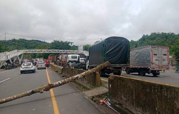 Camiones de carga enfrentan demoras de hasta ocho horas en el corredor vial hacia Buenaventura por bloqueos y congestión. FOTO COLFECAR.