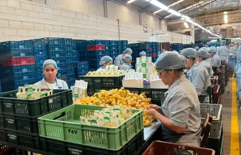 La Gobernación de Antioquia amplió el programa Más Empleo para las Mujeres en Antioquia a las nueve subregiones del departamento, con incentivos para que más empresas contraten mujeres y contribuyan a reducir las brechas laborales. FOTO cortesía Secretaría de las Mujeres