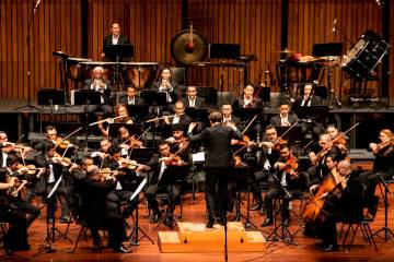 Las violas han estado desde el inicio de la Orquesta Filarmónica, en 1983. En ese entonces eran de los músicos. Foto: Cortesía.