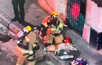 Los bomberos le pusieron oxígeno al canino mediante una máscara especializada para estabilizarlo y luego le dieron alimento. FOTO: CORTESÍA - ALCALDÍA DE MEDELLÍN