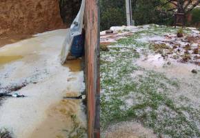 Así quedaron los cultivos después de la fuerte granizada en el municipio de Guarne. FOTO: Cortesía Alcaldía de Guarne