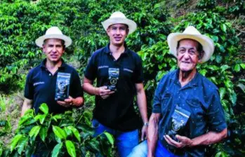 En la finca de Comunidad, practican la agricultura regenerativa y siembran variedades de café como la Catuaí, la Geisha o el Borbón Rosado. FOTO JULIO CÉSAR HERRERA