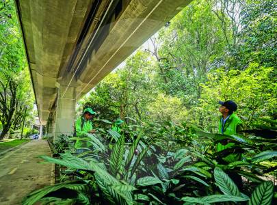 Medellín estrena novedoso sistema de riego aéreo para jardines: así funciona