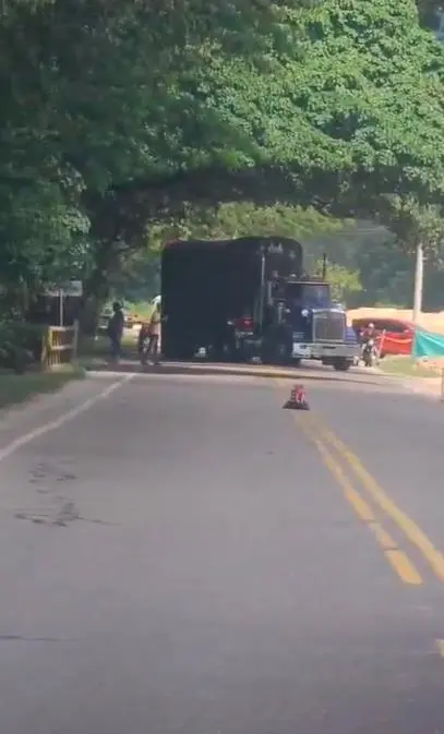 Colfecar rechazó el paro armado de 72 horas decretado por el ELN y la violencia sistemática ejercida contra el sector transportador. FOTO tomada de X