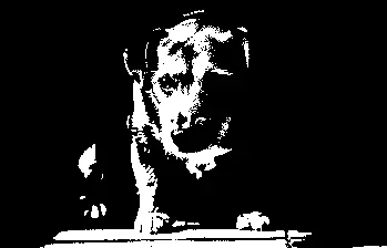 Este es el impacto de la soledad en perros