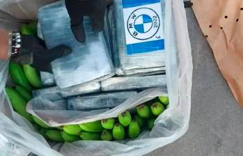 Así iban camufladas en las cajas de plátano las tres toneladas de cocaína halladas en Cartagena. FOTO cortesía