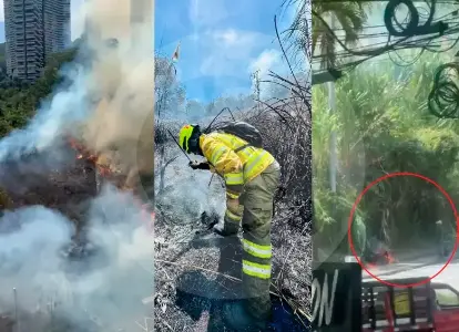 Capturado por incendio en Las Palmas fue imputado por daños en recursos naturales y ecocidio