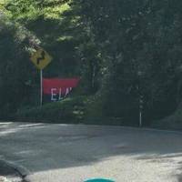 Bandera del ELN en vía que comunica a Medellín con la Costa Caribe, en zona de Valdivia. Foto: cortesía Guardianes Antioquia
