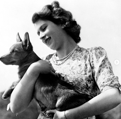 Este es uno de perros que tuvo la reina Isabel II. Foto: INSTAGRAM @theroyalfamily