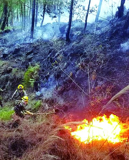 En lo que va de este año se han registrado 12 incendios forestales en el Cerro Quitasol. FOTO EL COLOMBIANO.