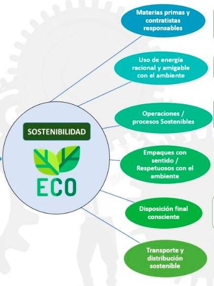 Ecomodísimos, una iniciativa con sentido para el planeta 