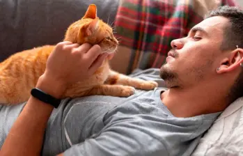 Seis características para identificar a un amante de los gatos