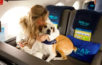 Bark Air, la auuusombrosa aerolínea de los perros tiene nuevo destino