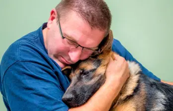 Perros de apoyo en funerales: cómo ayudan en el duelo 