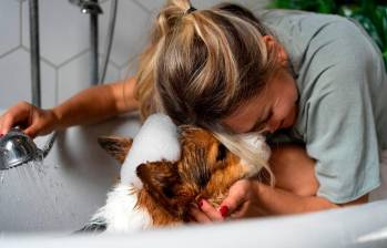 Temperatura del agua para bañar a tu mascota