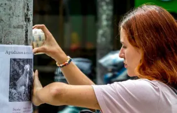 Las mascotas perdidas en Bogotá tienen un portal que facilita su hallazgo