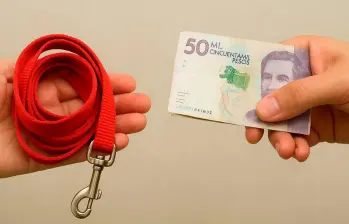 Así está regulado el comercio de animales domésticos en Colombia
