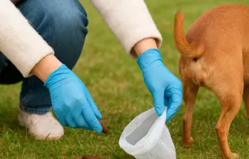 ¿Por qué cambia el popó de tu perro al variar su alimentación?