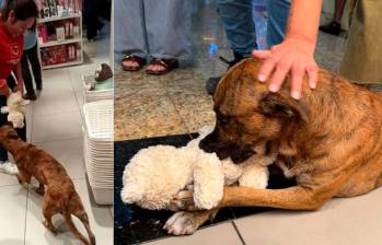 /FOTOS: REDES SOCIALES