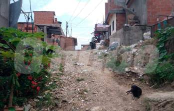 ¡Lamentable! Don Saúl falleció al caer de una mula en Bello