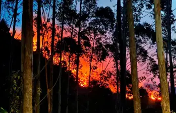 ¡Pilas con las quemas! Barbosa decretó alerta naranja por incendios forestales