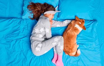 Dormir con perros y gatos: ¿un placer o un riesgo? Aquí le contamos