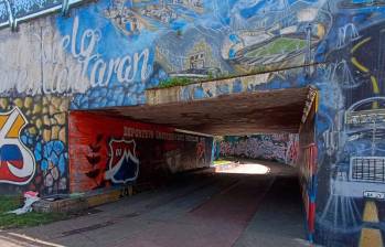 Mataron a habitante de calle debajo del puente de la Madre Laura
