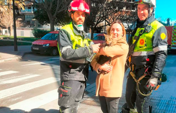 El gato que apareció ocho días después en el lugar del incendio en Valencia, España