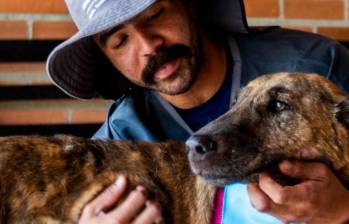 Cáncer en mascotas: claves para cuidar a tu compañero peludo