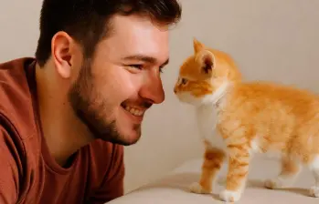 Cuánto cuesta adoptar un gato y mantenerlo ¡Acá te contamos! 