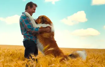 Cinco películas que te harán amar más a tu perro