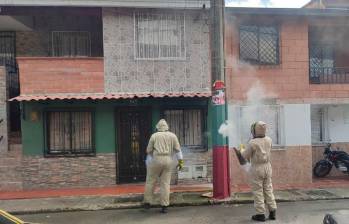 Abejas causaron pánico en Itagüí y hasta picaron a una persona