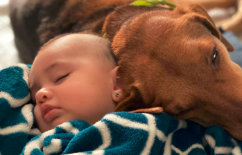 Dormir con perros y gatos: ¿Malo para tu salud?