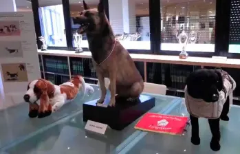 Así es el maravilloso Museo del Perro en Francia